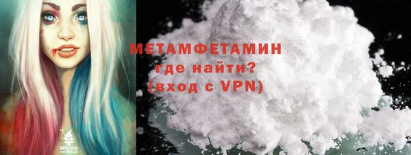 прущие грибы Иннополис