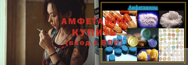 мдпв Инта