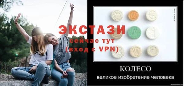 мдпв Инта