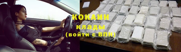 гашик Инсар