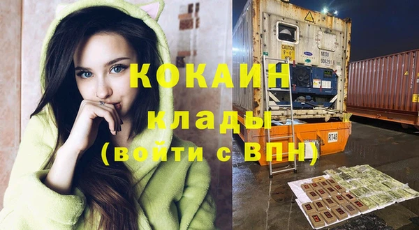 гашик Инсар