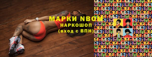 сатива Зеленокумск