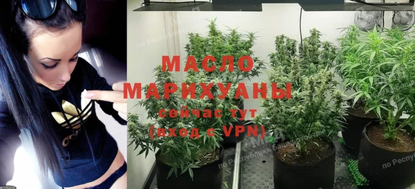сатива Зеленокумск