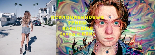 молекула духа Зерноград