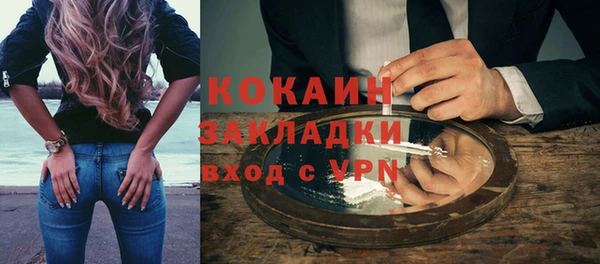стаф Козловка