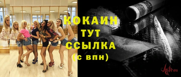 прущие грибы Иннополис