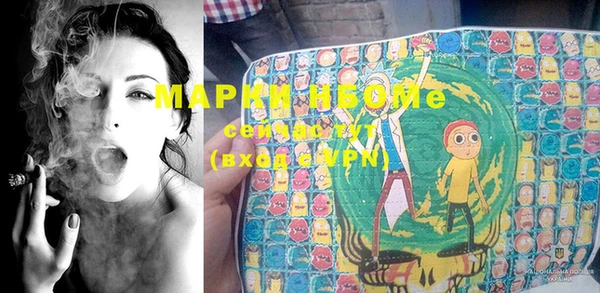 прущие грибы Иннополис