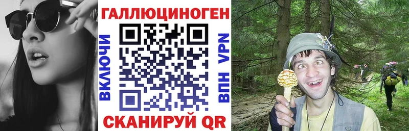 Псилоцибиновые грибы GOLDEN TEACHER дарнет шоп Спас-Деменск